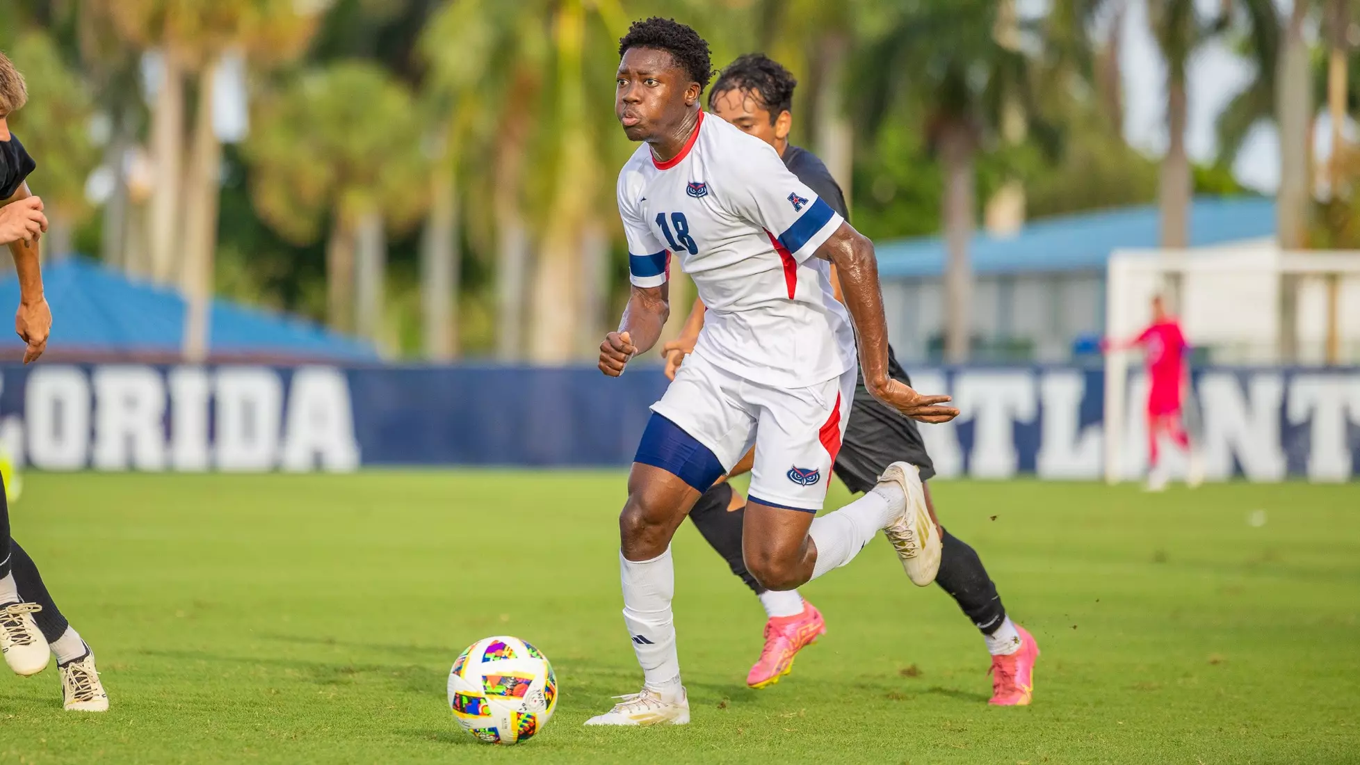 Florida Atlantic vs Stetson Univeristy