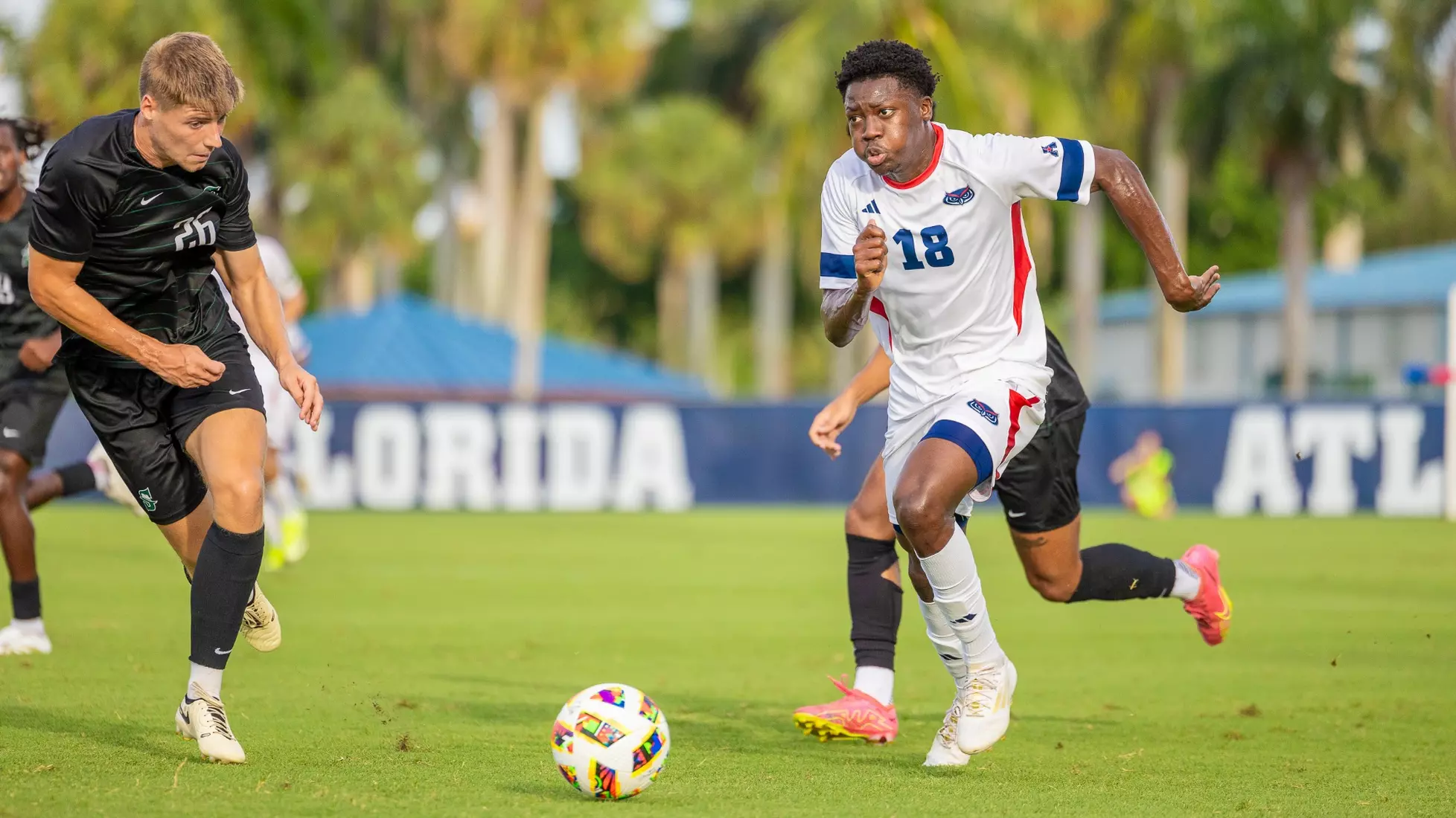 Florida Atlantic vs Stetson Univeristy