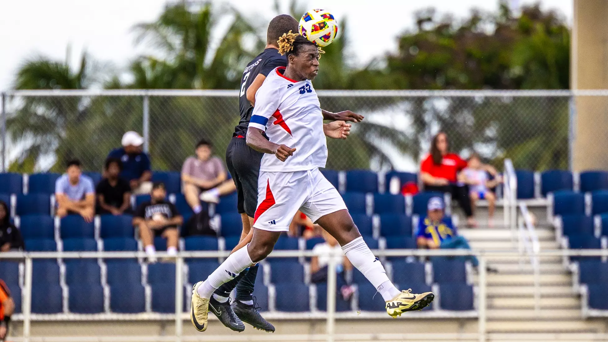 Florida Atlantic vs Stetson Univeristy