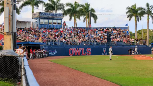 Baseball Crowd