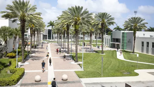 Florida Atlantic campus photo