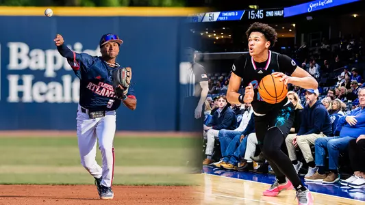 Inside the Owls' Burrow #23