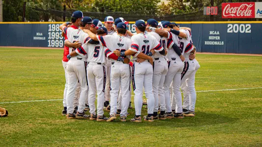 Baseball Group