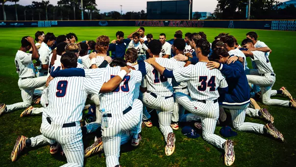 Baseball Group Huddle