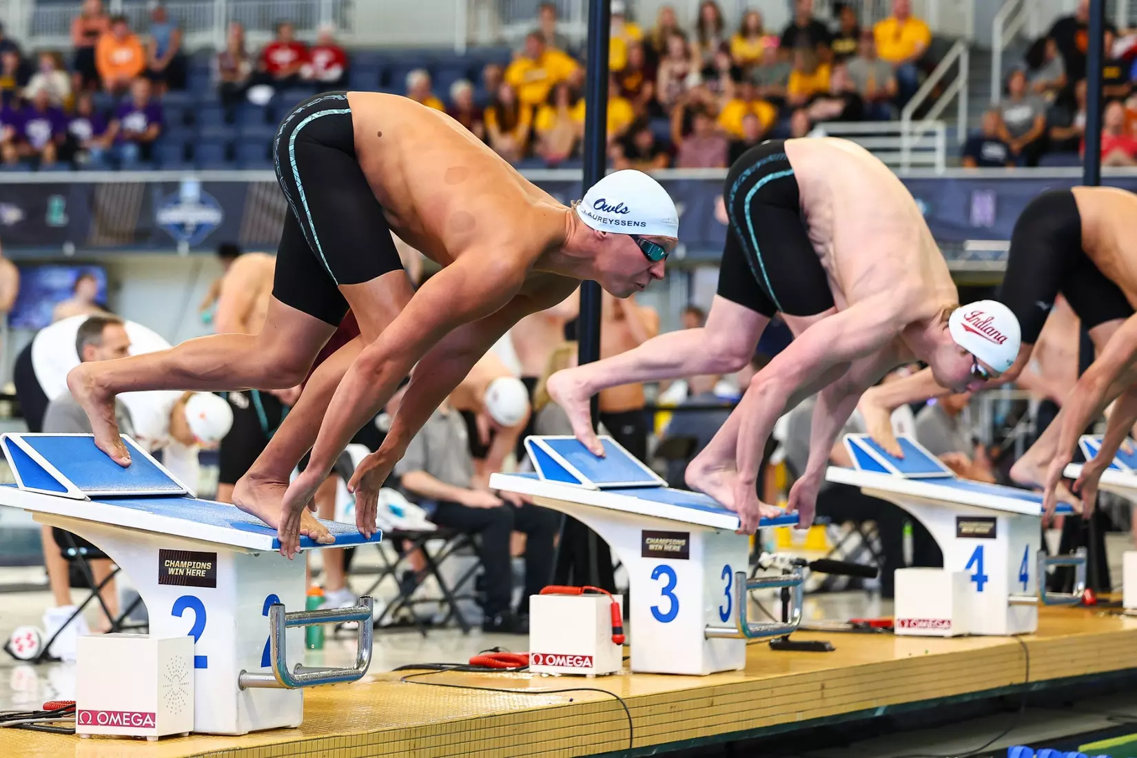 Daniel Laureyssens on Day One of the 2026 NCAA Swimming & Diving Championships