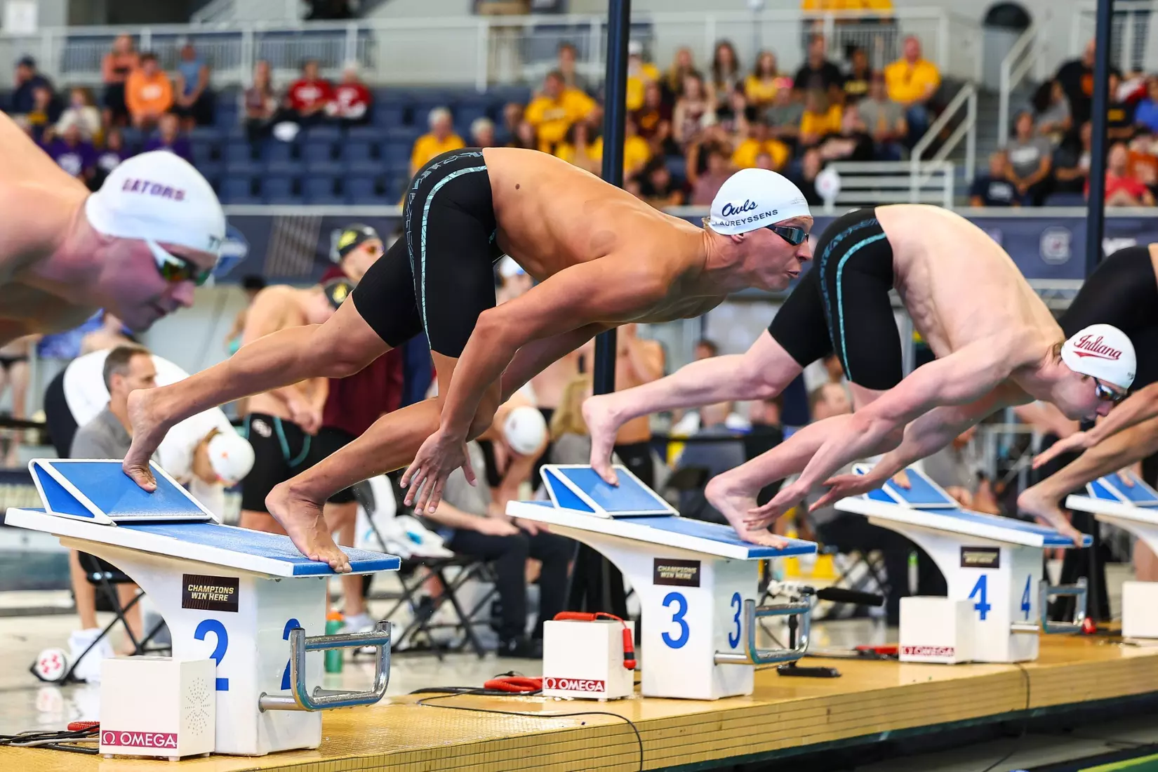 Daniel Laureyssens on Day One of the 2026 NCAA Swimming & Diving Championships