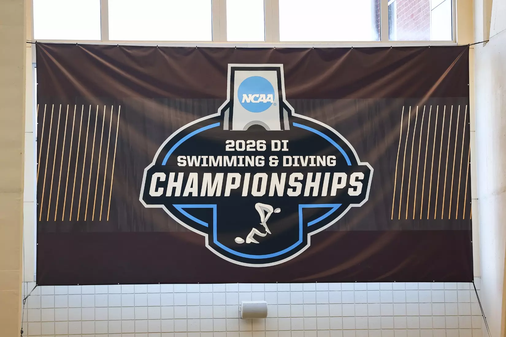 2026 NCAA Swimming & Diving Championships