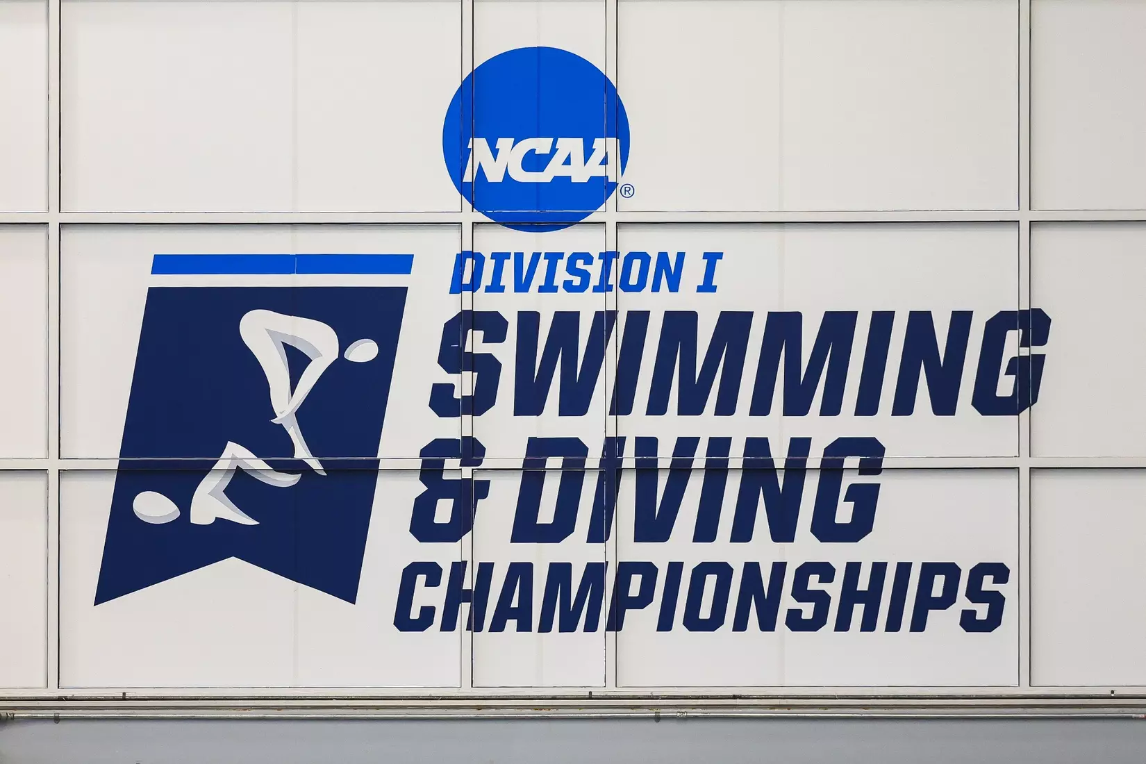 2026 NCAA Swimming & Diving Championships