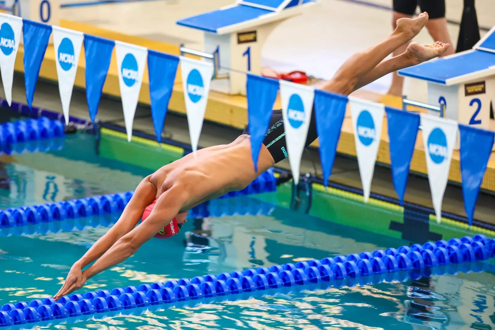 Daniel Laureyssens on Day Two of the 2026 NCAA Swimming & Diving Championships