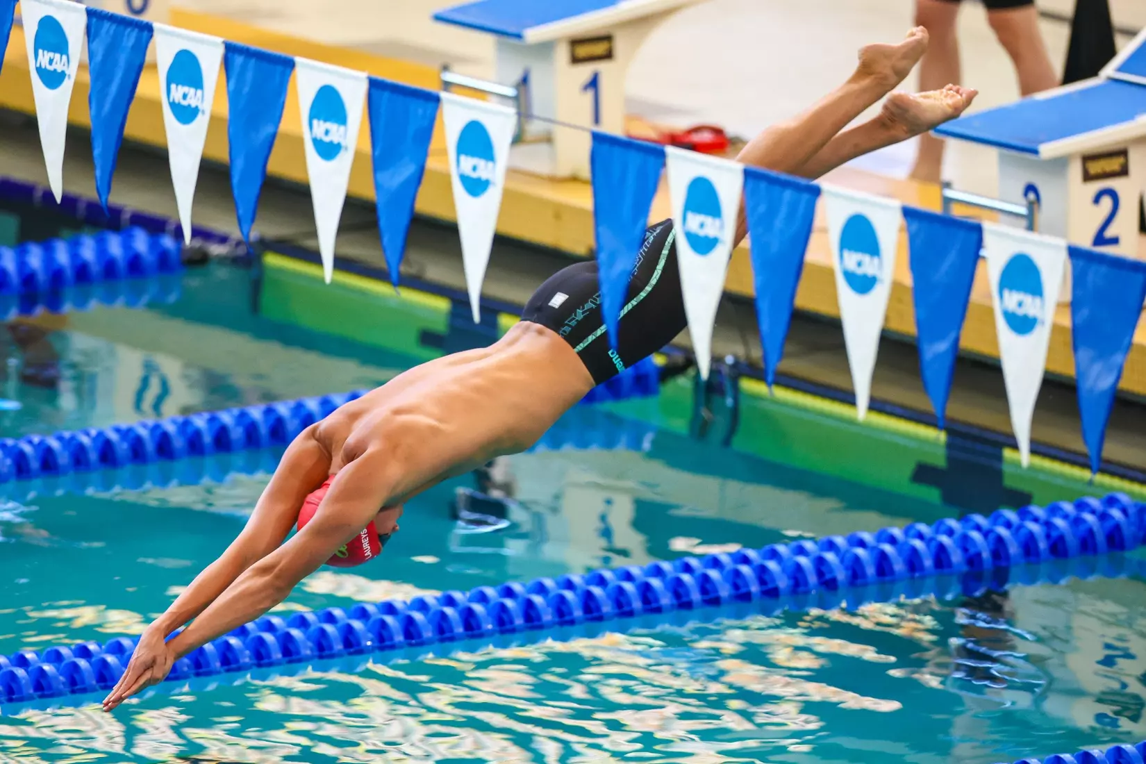 Daniel Laureyssens on Day Two of the 2026 NCAA Swimming & Diving Championships