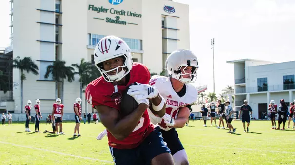 Dominique Henry Spring 2026