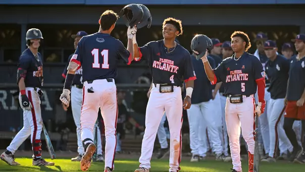 Baseball Home Run Celebration