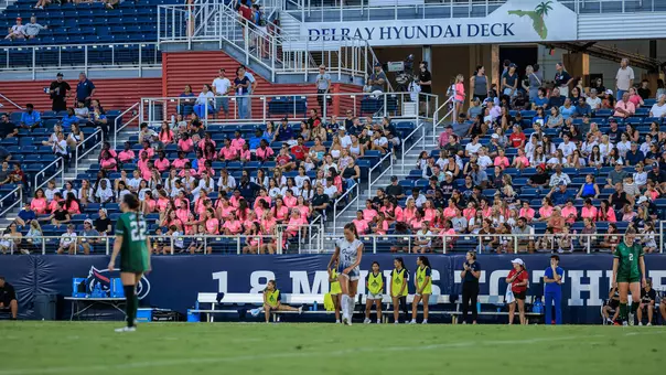 Women's soccer stadium game