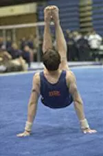 Sophomore Bob Rogers took the individual titles on both the floor exercise and high bar at UIC.