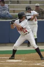 Alicia Hammel's solo home run in the bottom of the sixth enabled the Illini to beat Wisconsin
