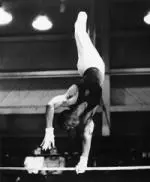 Charles Lakes, who was a three-time All-American for the Illini, was inducted into the USA Gymanstics Hall of Fame on Saturday.