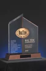 Illinois will be going after its seventh Big Ten Tournament trophy in the last eight years Sunday when it takes on Ohio State or Minnesota in the championship match in East Lansing, Mich.