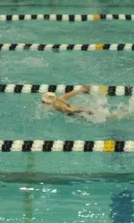Junior Brittany McGowan posted the highest finish for the Illini, capturing fourth in the 200 fly.