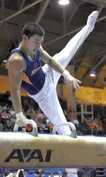 Junior Tyler Mizoguchi placed third in the all-around with a score of 85.700.