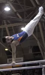 Mizoguchi claimed gold on parallel bars and bronze on pommel horse in the international event.