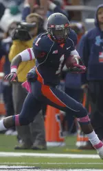 Terry Hawthorne