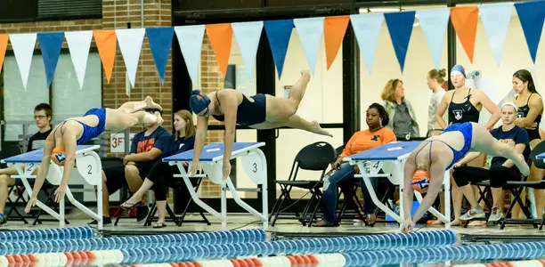 Team - Illinois Swimming & Diving - 2015