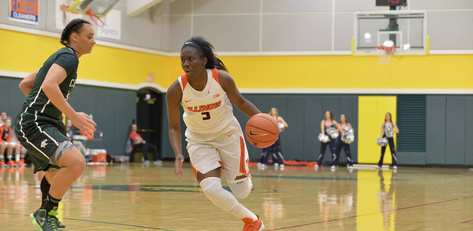 Cierra Rice - Illinois vs Chicago State - 2015-16