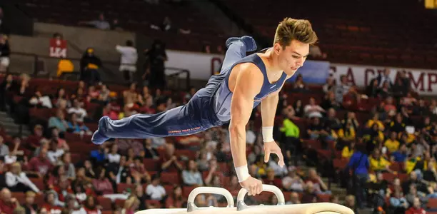 Matt Foster