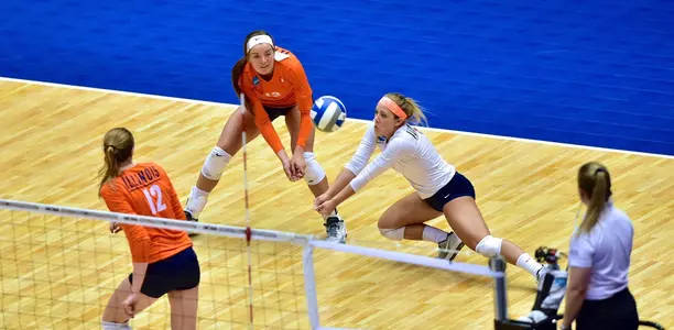 Brandi Donnelly, Florida, NCAA, dig