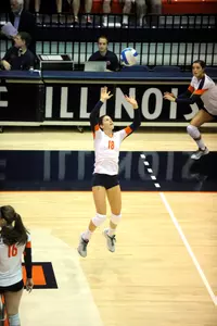 Allison Palmer, set