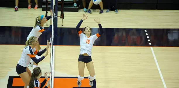 Allison Palmer, set