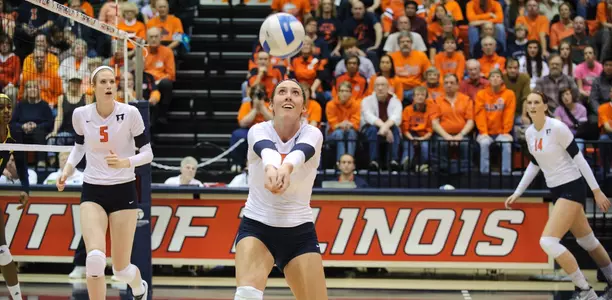 Alexis Viliunas, Michigan, dig