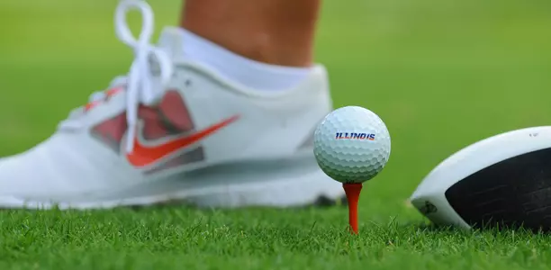 Golf Club Ball Shoe