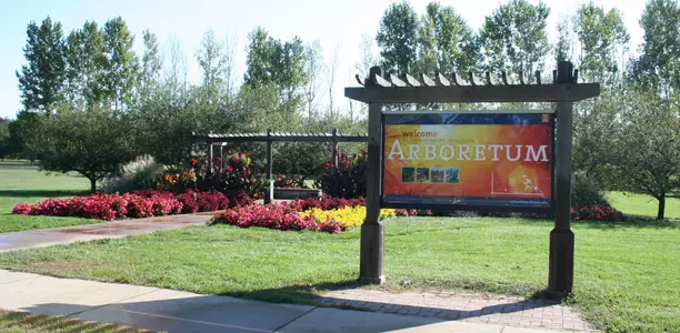 Arboretum Welcome