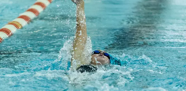 Charli Wike 2015-16
