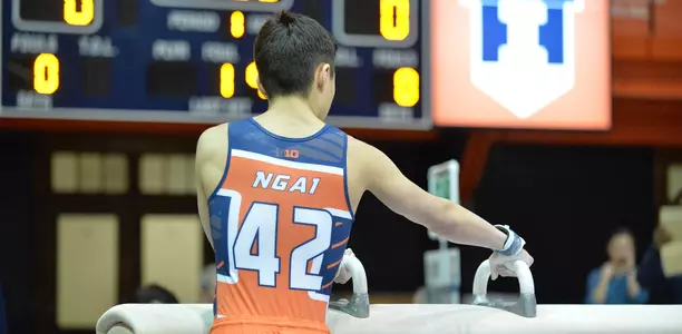 Ngai_back_2016