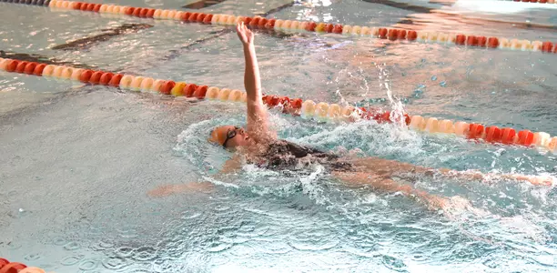 Stephanie Hein Swimming & Diving 2015-16