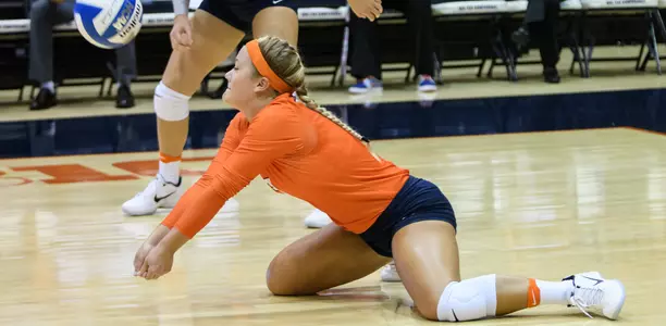 Vb-Donnelly, Brandi