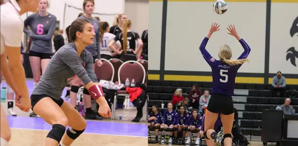 VB - Fall Signees 2017