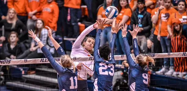 VB - Quade vs. PSU
