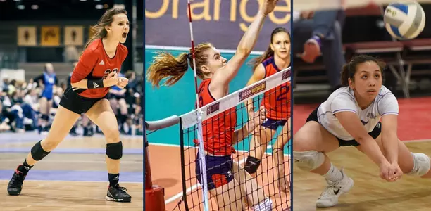 VB - 2019 Spring Additions
