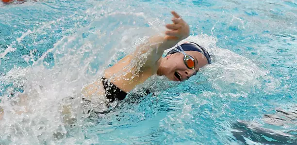 Molly Hein - Illinois Swim & Dive - 2019-20