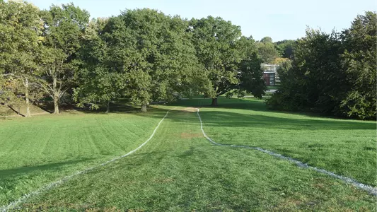 University of Illinois Arboretum