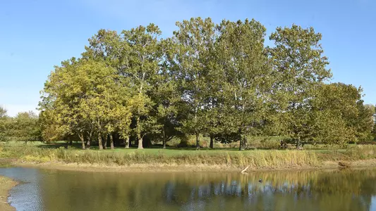 University of Illinois Arboretum