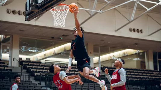 Terrence Shannon Jr. vs Kansas