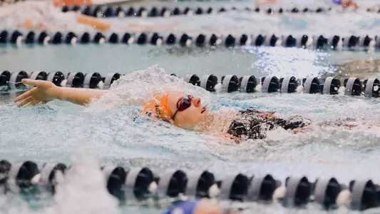 Iowa Inv. Preview