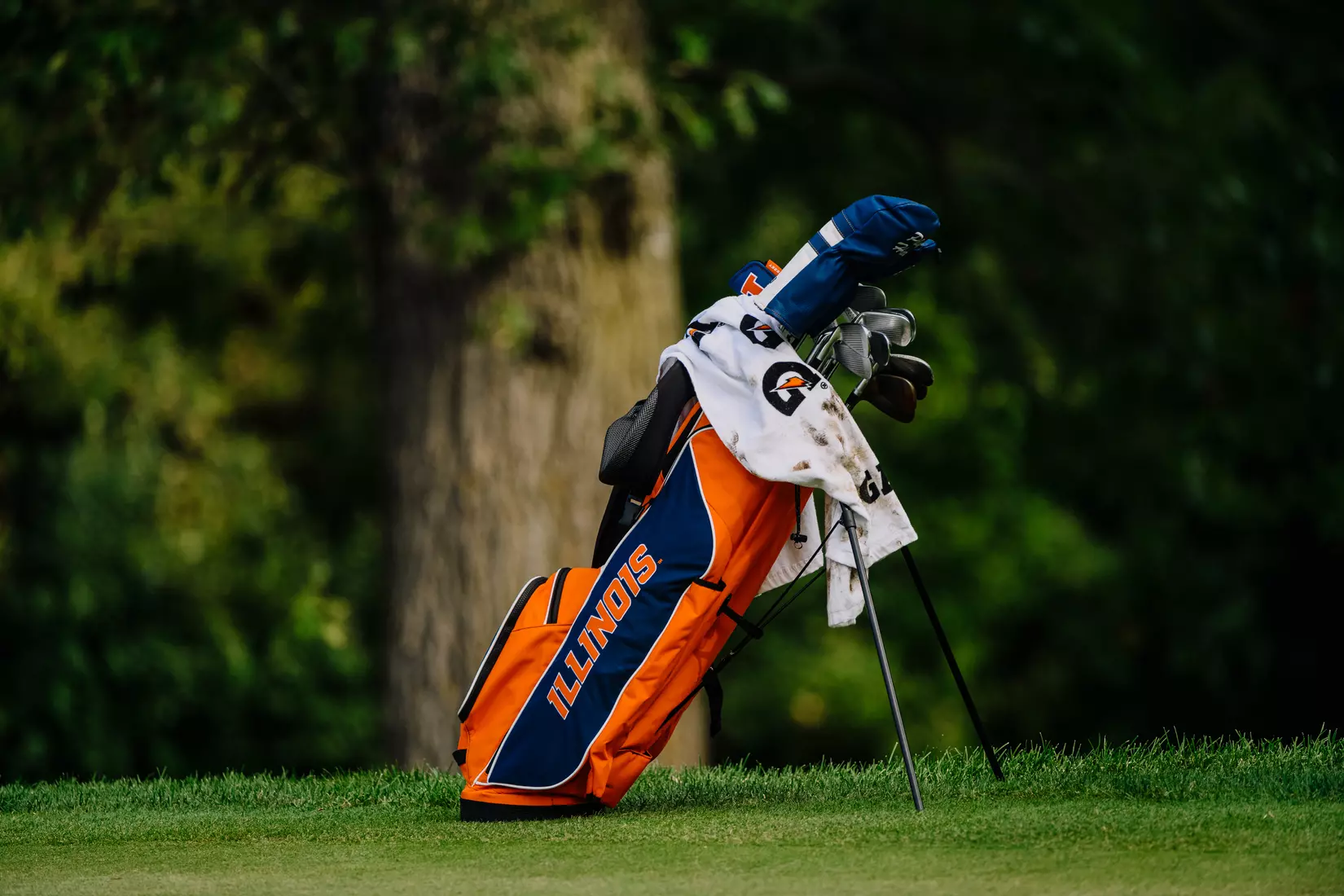 Illinois Fighting Illini Men's Golf - 9/18/22