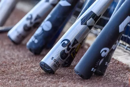 Illinois Baseball Bats