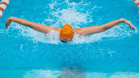 Swim and dive