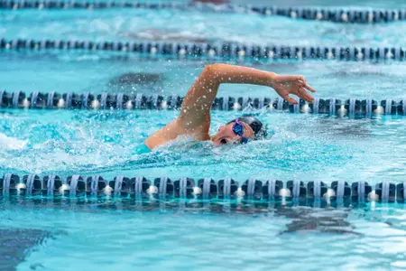 CHAMPAIGN, IL - February 07, 2026 - Michelle Kaner during the meet between the Eastern Illinois Panthers and the Illinois Fighting Illini at the Arc Pool in Champaign, IL. Photo By Knox Mynatt/Fighting Illini